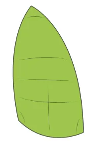 Quest Asymmetric Spinnaker