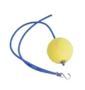 C420 Tennis Ball Bailer